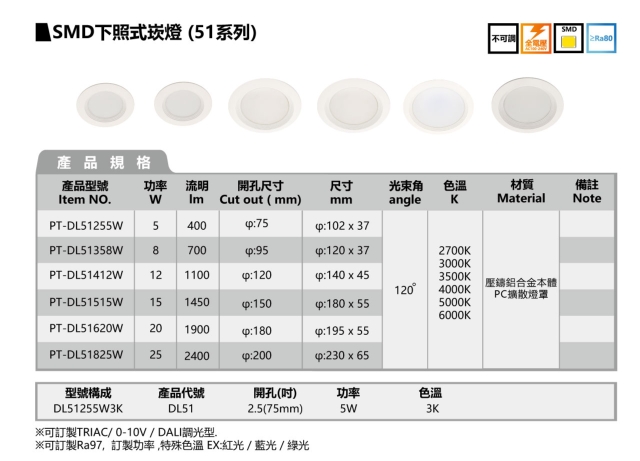 SMD PROJECTOR DOWNLIGHT-51 SERIES