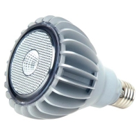 8W PAR30 Lamp