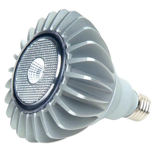 10W PAR38 Lamp