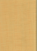 Wood Grain Decorative Paper/Melamine Paper/PVC/PETG Film- Maple