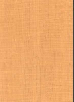 Wood Grain Decorative Paper/Melamine Paper/PVC/PETG Film- Maple