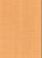 Wood Grain Decorative Paper/Melamine Paper/PVC/PETG Film- Maple