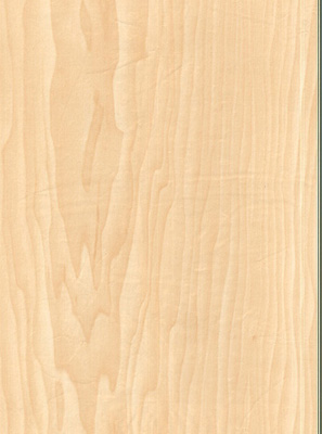 Wood Grain Decorative Paper/Melamine Paper/PVC/PETG Film- Shine Maple