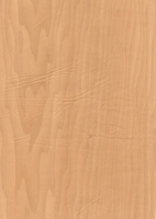 Wood Grain Decorative Paper/Melamine Paper/PVC/PETG Film- Shine Maple