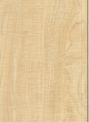 Wood Grain Decorative Paper/Melamine Paper/PVC/PETG Film- Maplee