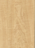 Wood Grain Decorative Paper/Melamine Paper/PVC/PETG Film- Maple