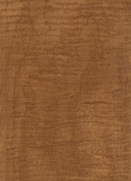 Wood Grain Decorative Paper/Melamine Paper/PVC/PETG Film- Maple