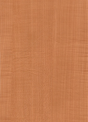 Wood Grain Decorative Paper/Melamine Paper/PVC/PETG Film- Maple