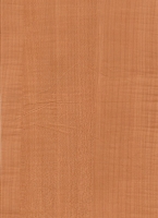 Wood Grain Decorative Paper/Melamine Paper/PVC/PETG Film- Maple