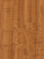 Wood Grain Decorative Paper/Melamine Paper/PVC/PETG Film- Maple