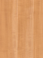 Wood Grain Decorative Paper/Melamine Paper/PVC/PETG Film- Maple