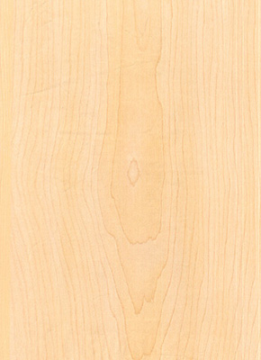 Wood Grain Decorative Paper/Melamine Paper/PVC/PETG Film- Maple