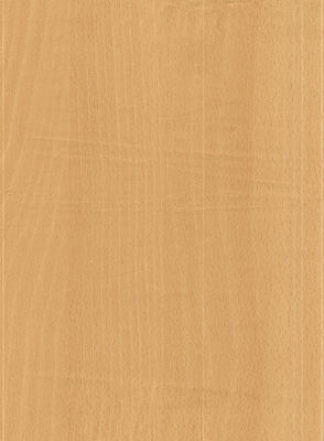 Wood Grain Decorative Paper/Melamine Paper/PVC/PETG Film- Beech