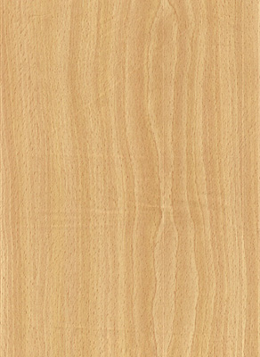 Wood Grain Decorative Paper/Melamine Paper/PVC/PETG Film- Beech