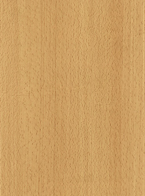 Wood Grain Decorative Paper/Melamine Paper/PVC/PETG Film- Beech