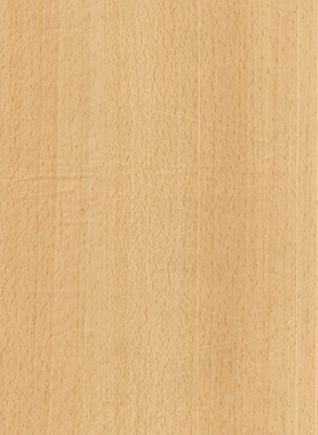 Wood Grain Decorative Paper/Melamine Paper/PVC/PETG Film- Beech