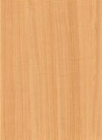 Wood Grain Decorative Paper/Melamine Paper/PVC/PETG Film- Beech