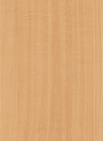 Wood Grain Decorative Paper/Melamine Paper/PVC/PETG Film- Beech