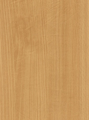 Wood Grain Decorative Paper/Melamine Paper/PVC/PETG Film- Beech