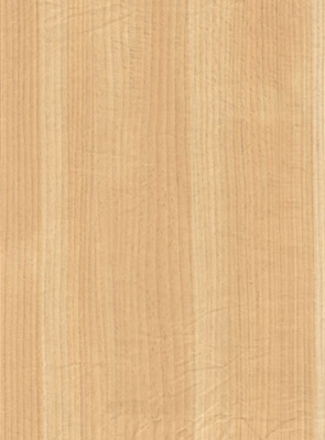 Wood Grain Decorative Paper/Melamine Paper/PVC/PETG Film- Beech