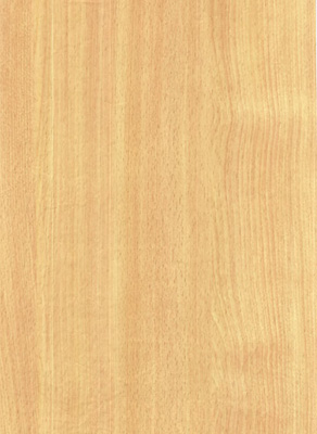 Wood Grain Decorative Paper/Melamine Paper/PVC/PETG Film- Beech