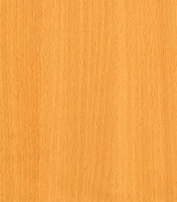 Wood Grain Decorative Paper/Melamine Paper/PVC/PETG Film- Beech