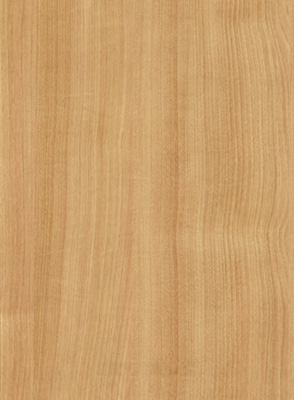 Wood Grain Decorative Paper/Melamine Paper/PVC/PETG Film- Cherry