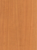 Wood Grain Decorative Paper/Melamine Paper/PVC/PETG Film- Cherry