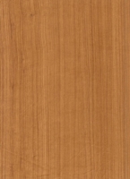 Wood Grain Decorative Paper/Melamine Paper/PVC/PETG Film- Cherry