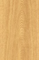 Wood Grain Decorative Paper/Melamine Paper/PVC/PETG Film- Family Oak