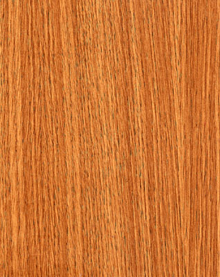 Wood Grain Decorative Paper/Melamine Paper/PVC/PETG Film- Oak