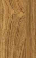 Wood Grain Decorative Paper/Melamine Paper/PVC/PETG Film- Teak