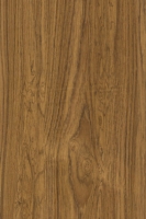 Wood Grain Decorative Paper/Melamine Paper/PVC/PETG Film- Teak