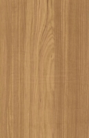 Wood Grain Decorative Paper/Melamine Paper/PVC/PETG Film- Ceder