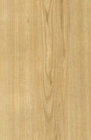 Wood Grain Decorative Paper/Melamine Paper/PVC/PETG Film- Sen