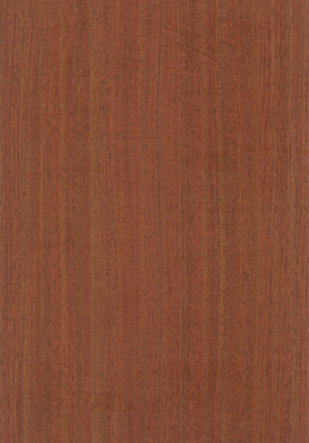 Wood Grain Decorative Paper/Melamine Paper/PVC/PETG Film- Acacia