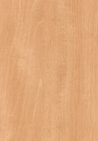 Wood Grain Decorative Paper/Melamine Paper/PVC/PETG Film- Mahogany