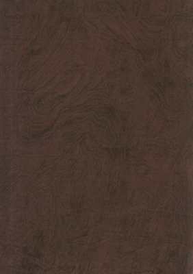 Wood Grain Decorative Paper/Melamine Paper/PVC/PETG Film- Birch