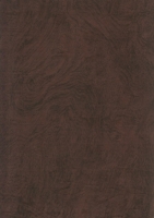 Wood Grain Decorative Paper/Melamine Paper/PVC/PETG Film- Birch