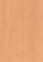 Wood Grain Decorative Paper/Melamine Paper/PVC/PETG Film- Birch