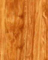 Wood Grain Decorative Paper/Melamine Paper/PVC/PETG Film- Birch