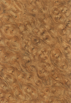 Wood Grain Decorative Paper/Melamine Paper/PVC/PETG Film- Rustic Burl