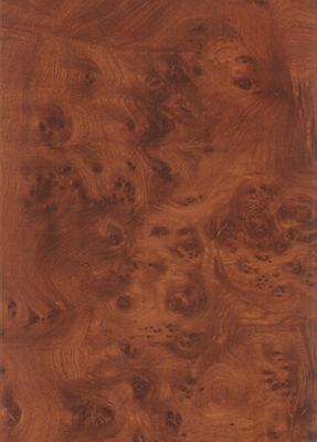 Wood Grain Decorative Paper/Melamine Paper/PVC/PETG Film- Rustic Burl