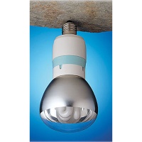 Energy-saving, Long Life Compact Fluorescent Lamps