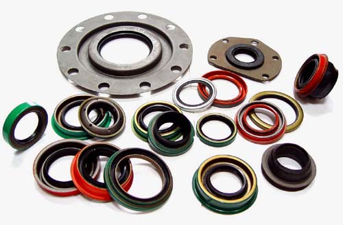 Oil Seals