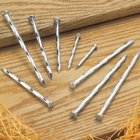 Angular Spiral Steel Nail/Steel concrete nail