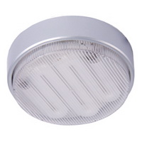 energy saving ceiling light