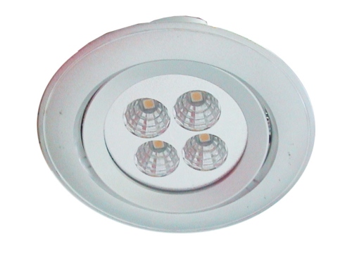 Indoor Ceiling Down light