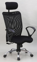 Executive mesh chair