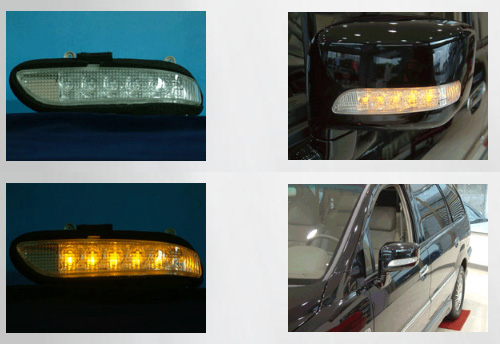 OEM Automotive Turning Lamp for outside mirror